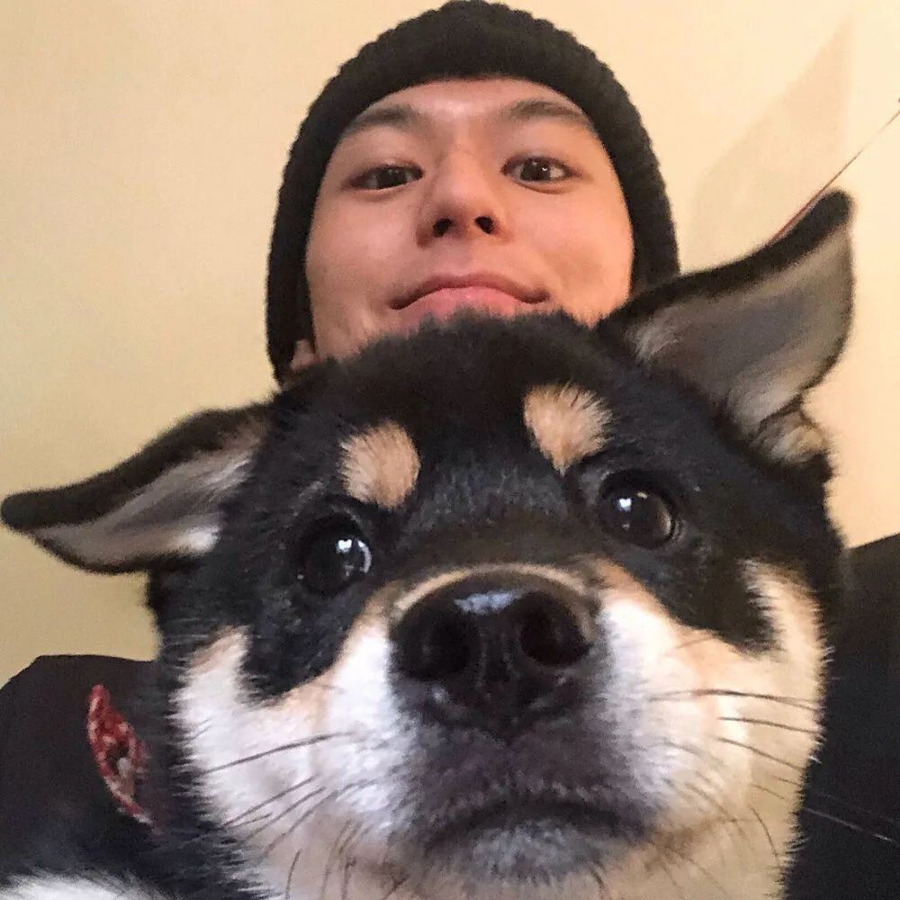 【男头像杂烩】男生头像#遮挡#宠物#唯美韩国#小清新#伤感#帅气#高清#暖男#欧美#霸气ᵎ鲜肉#By沐晴