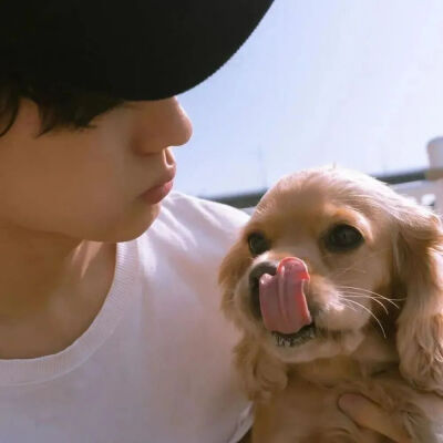 【男头像杂烩】男生头像#遮挡#宠物#唯美韩国#小清新#伤感#帅气#高清#暖男#欧美#霸气ᵎ鲜肉#By沐晴