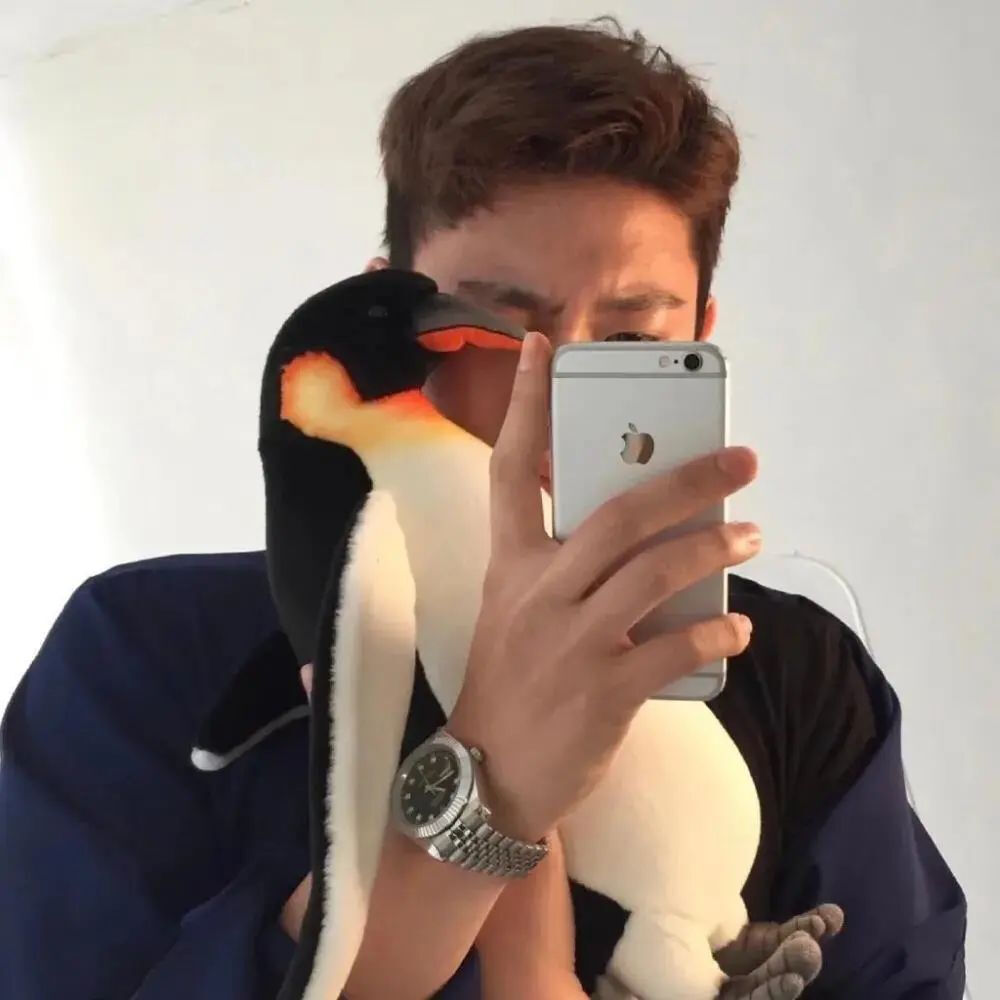 【男头像杂烩】男生头像#遮挡#宠物#唯美韩国#小清新#伤感#帅气#高清#暖男#欧美#霸气ᵎ鲜肉#By沐晴