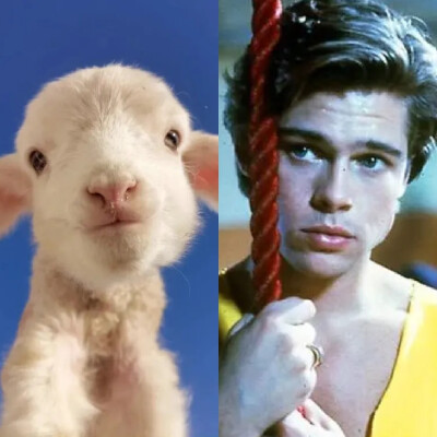 这腮不是很像，简直是一模一样