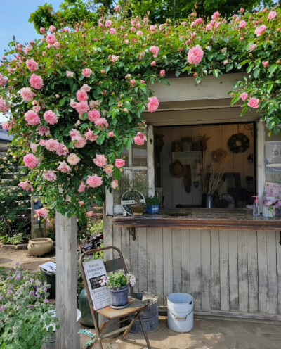 花园小屋