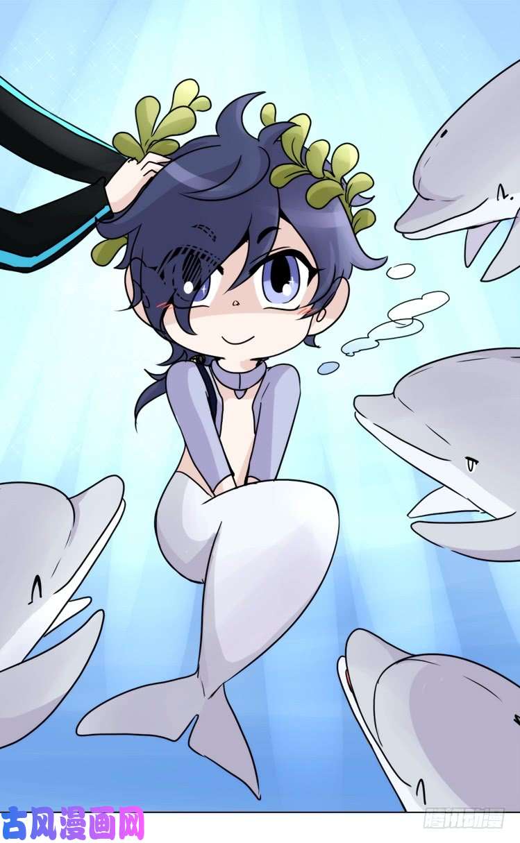 海豚拟人