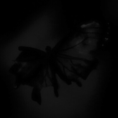 恶意盎然。
VTAC_1230