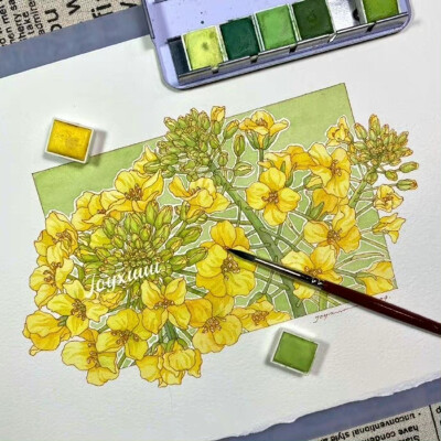 植物绘，画家Joyxuuu ​