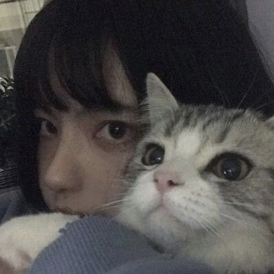 猫和少女