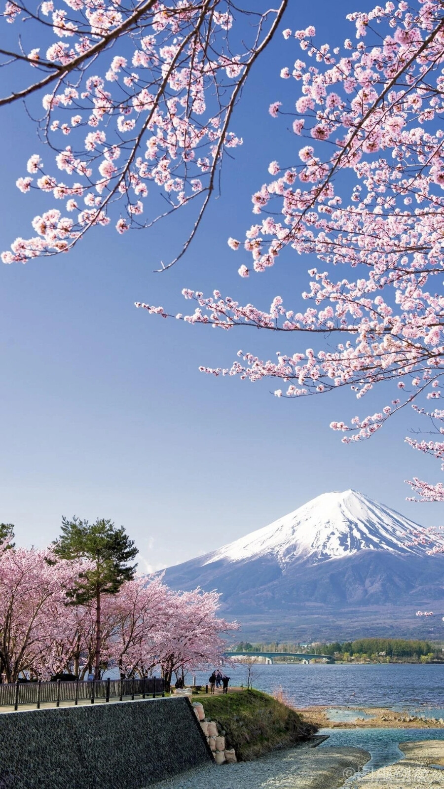 富士山下