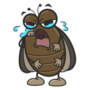 收集创意动态图 ➕普通图片➕自制