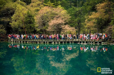 熊猫湖
游客参观中国四川九寨沟自然保护区的熊猫湖。该保护区以其数十个色彩缤纷的湖泊而闻名，是中国56处联合国教科文组织世界遗产之一。摄影：MICHAEL S. YAMASHITA