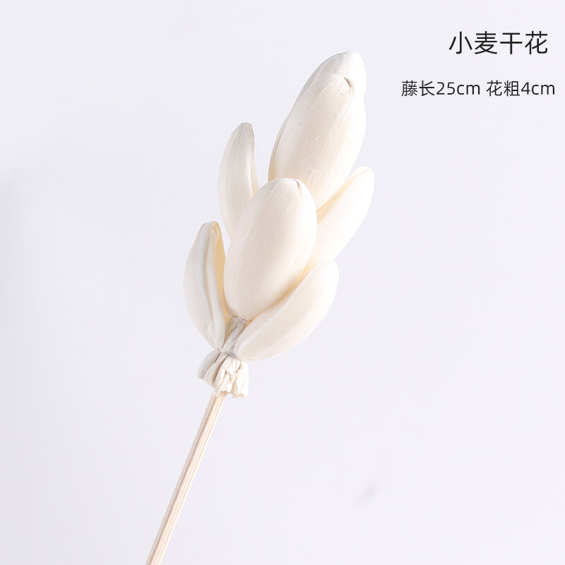 酒店无火香薰扩香棒挥发棒室内香氛藤条干花套装香薰棒diy通草花