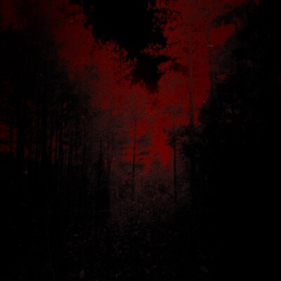 
EUNG FREESTYLE (응프리스타일)