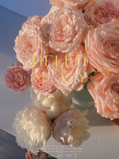 像夏日的蝉鸣，生活乐此不疲。
摄影@一工_