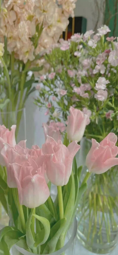 夏日壁纸