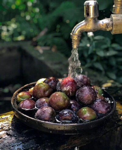 水果 清新
背景图
摄影:山仓林食
#冷瞳