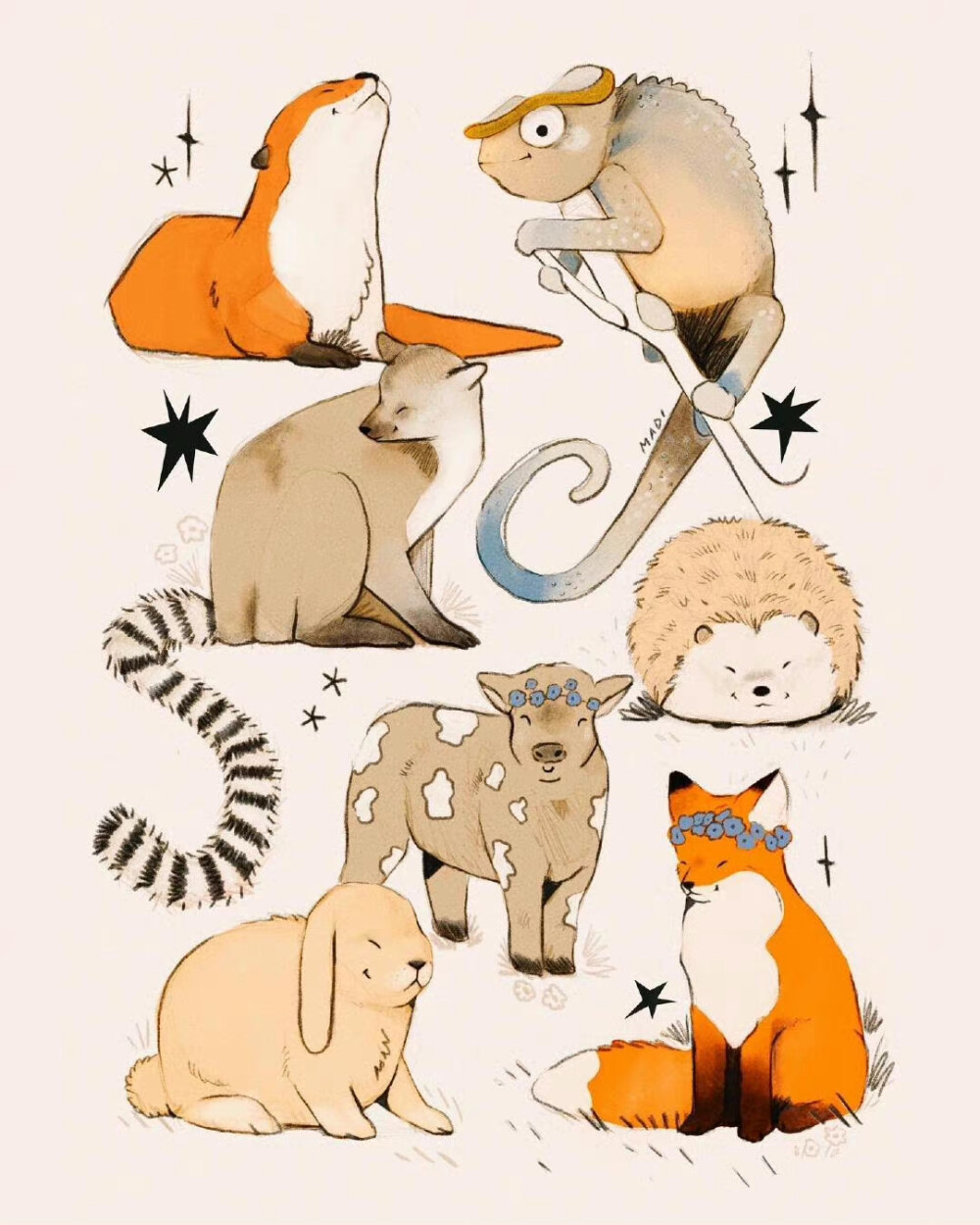 小动物插画insthatvoiddesign