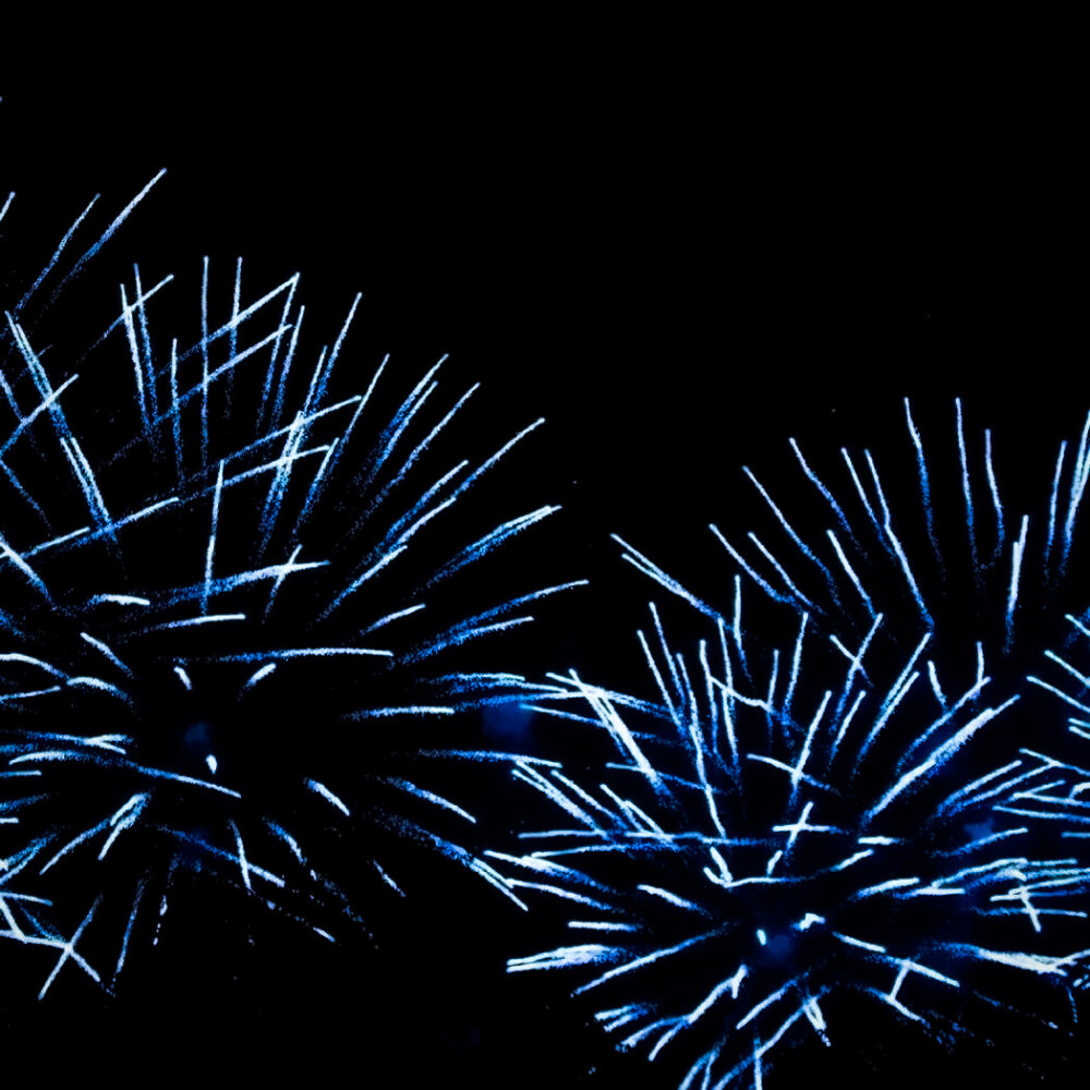 高二四班 边伯贤
“很巧不是吗？每个人都是不同程度的野心家。”