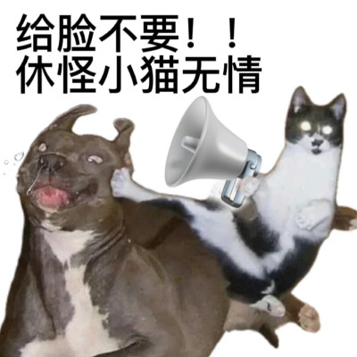 转微博