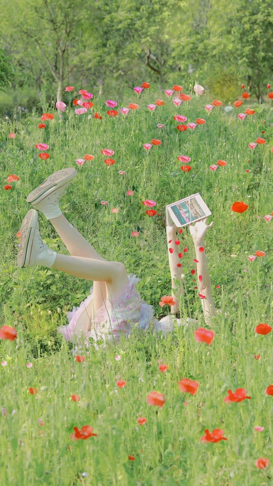 背景图壁纸素材花与少女