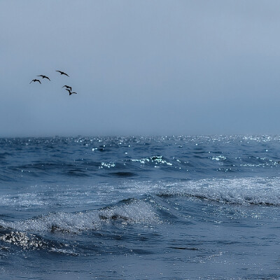 
深海人魚姬（mermaid&in vain）