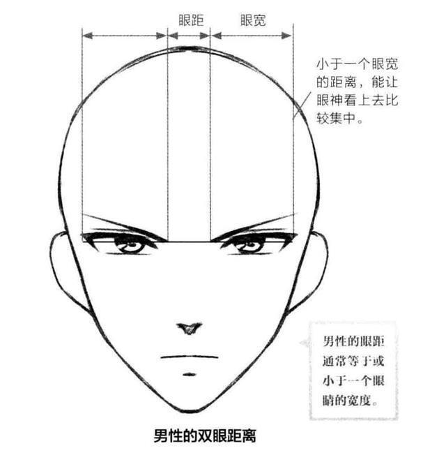 眼睛 头部