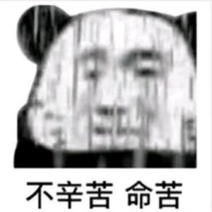 表情包