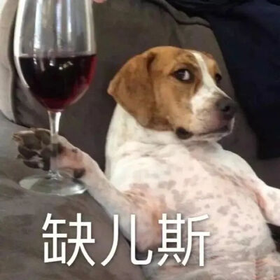 沙雕表情包