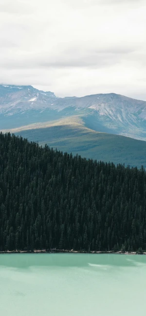 风景壁纸 堆糖 美图壁纸兴趣社区