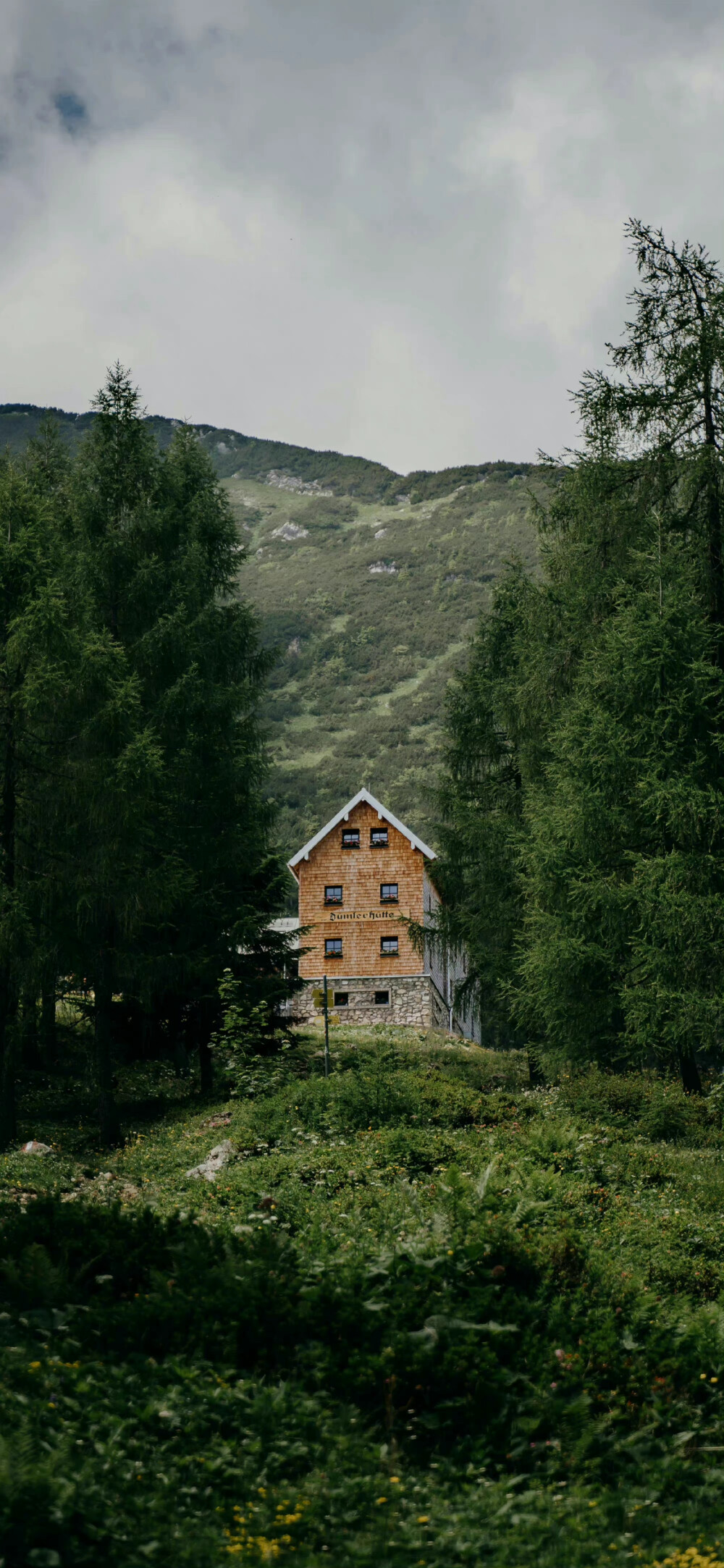 风景壁纸