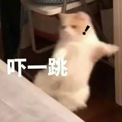 沙雕猫咪表情包