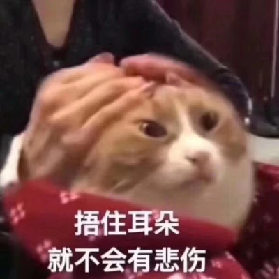 沙雕猫咪表情包