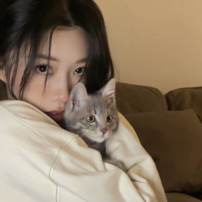 女生头像 抱猫