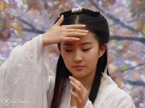 刘亦菲 饰 小龙女