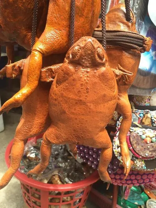 编织；牛蛙皮；宽袋子编织；纸编篮子