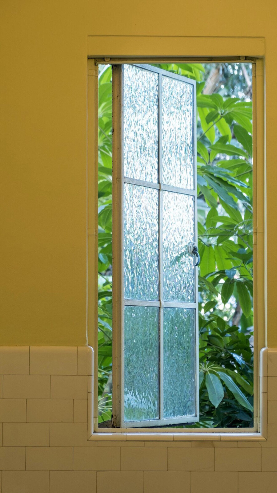 植物配色 穿搭配色