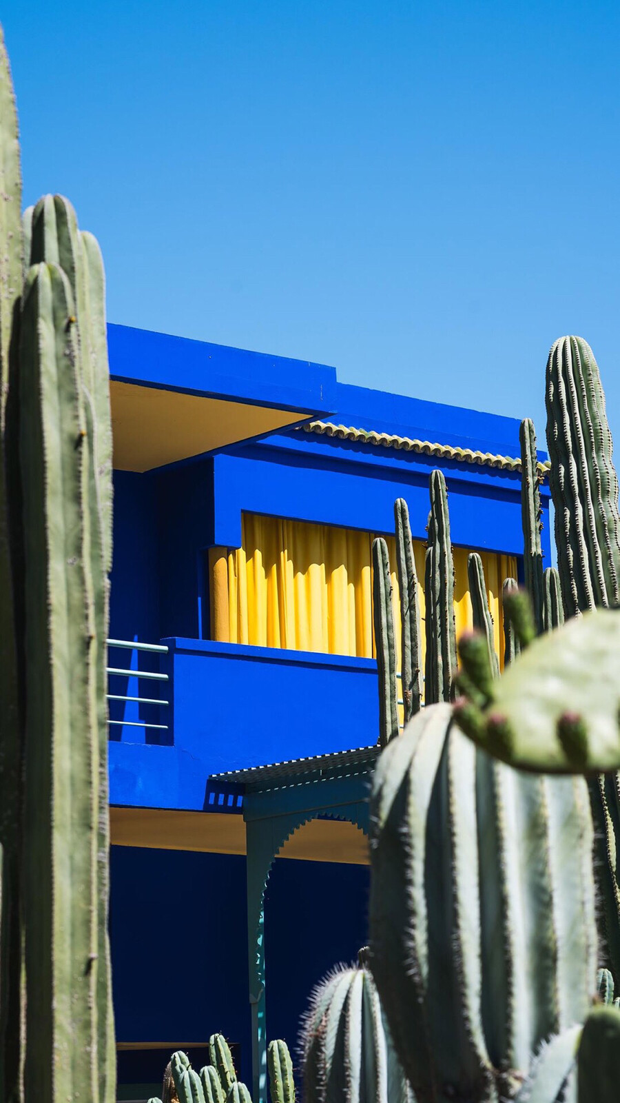 植物配色 穿搭配色