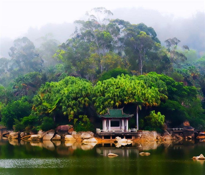 南国烟雨---厦门植物园