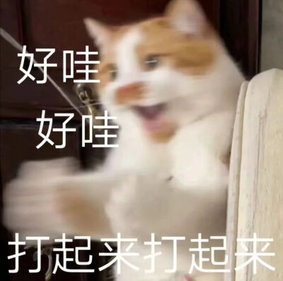 沙雕表情包