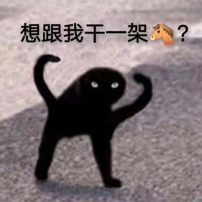 沙雕表情包