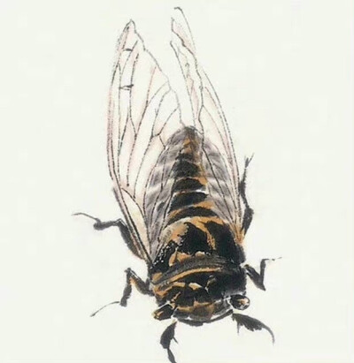 “ 入夜虫吟初夏中 … ” ​