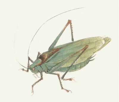 “ 入夜虫吟初夏中 … ” ​