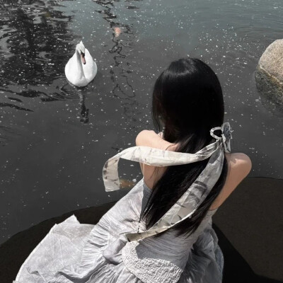 yin.