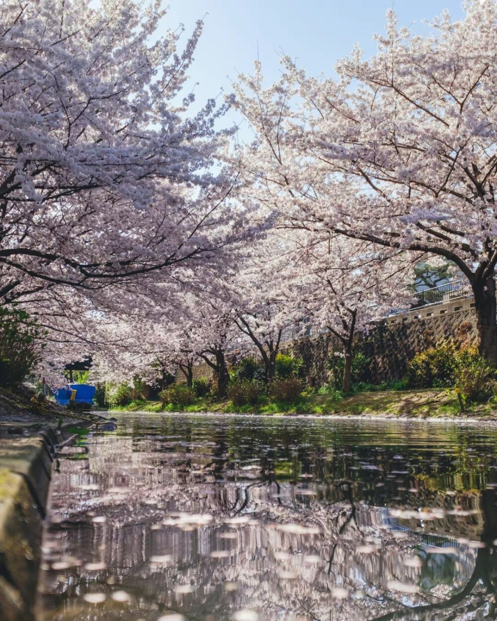 只有日本_京都