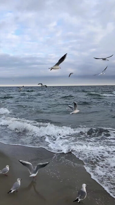 海 风景 壁纸图集#冷瞳