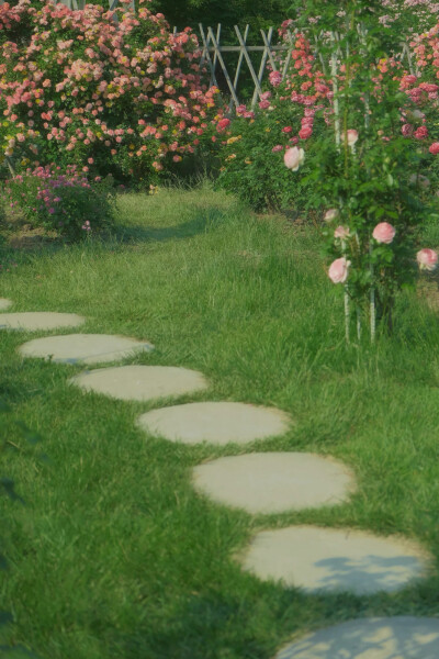  ℎ
玫瑰是神明赠与人间的情诗 ​​​
早安.
摄影师/温叁叁-