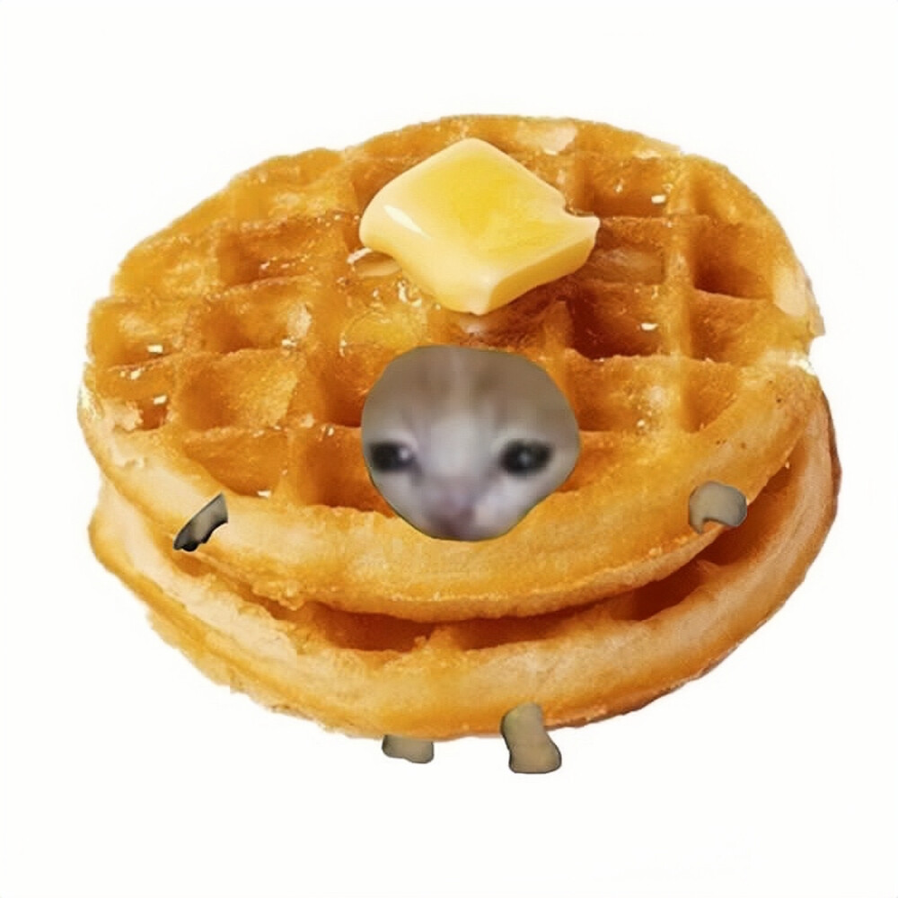 猫猫教信徒｜Cat.