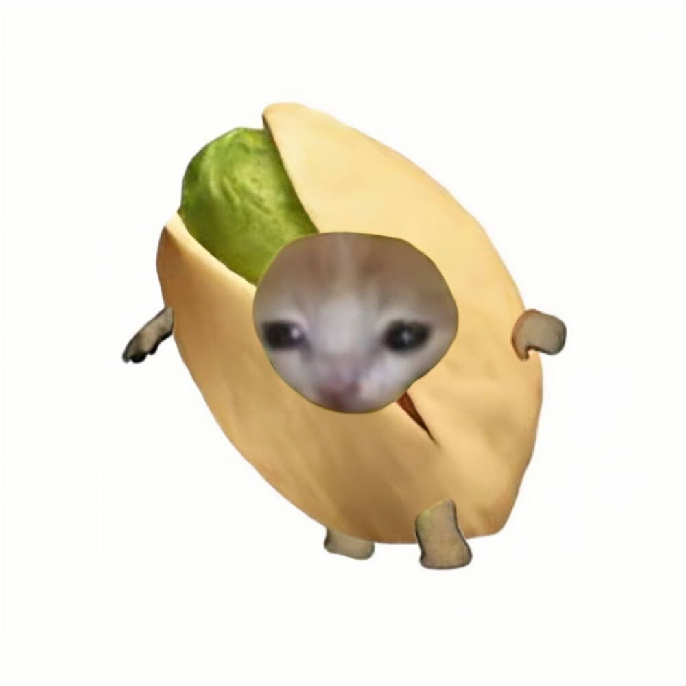 猫猫教信徒｜Cat.