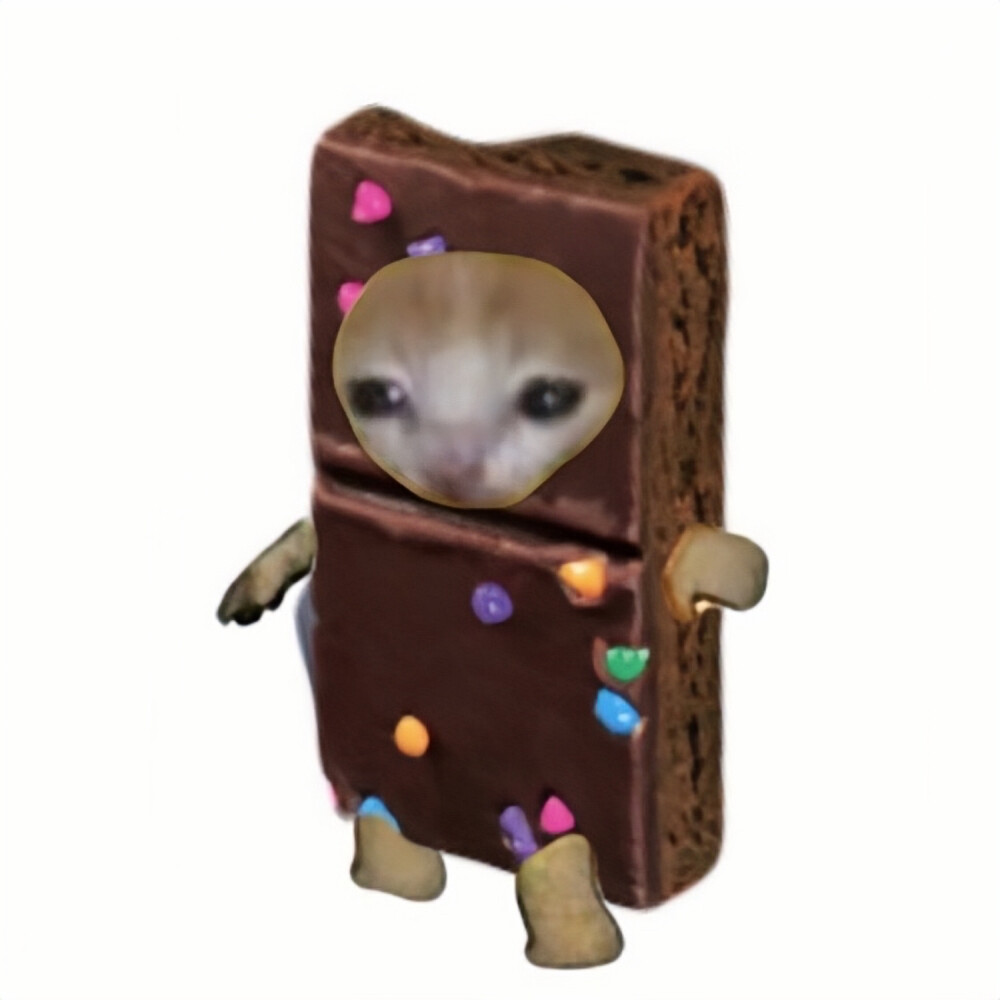 猫猫教信徒｜Cat.