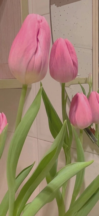 ：走吧 女孩，去看红色的朝霞。