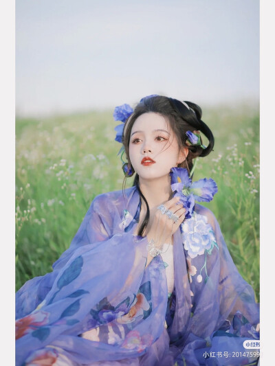 鸢尾
