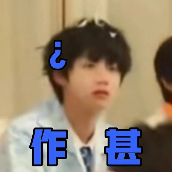 TF家族