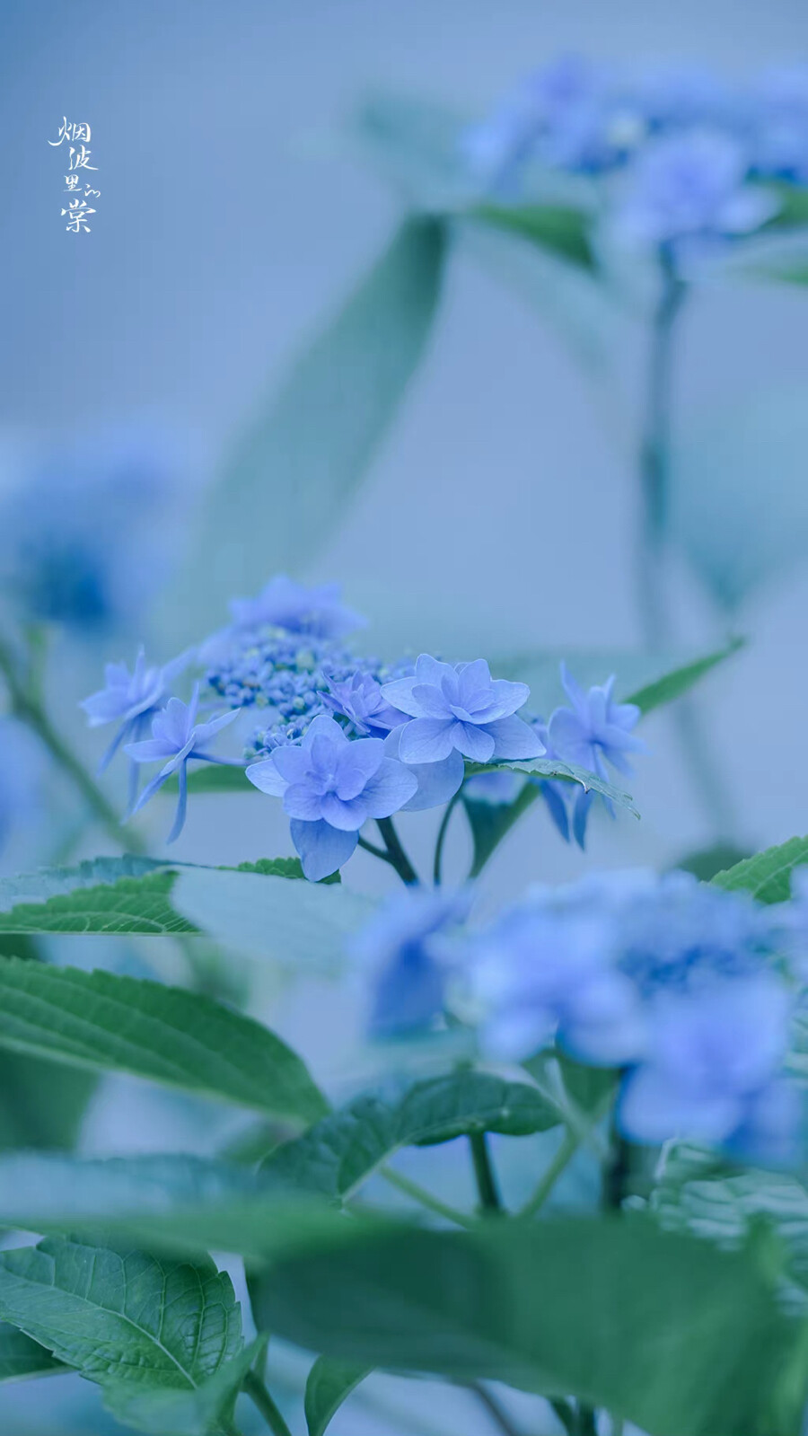 让我们相爱吧
时间只有一天
让我们抓住所有的浪漫
/ 佩索阿
摄影师/@烟波里的棠
晚安.